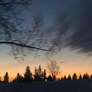 Meet your Posher, Bianca